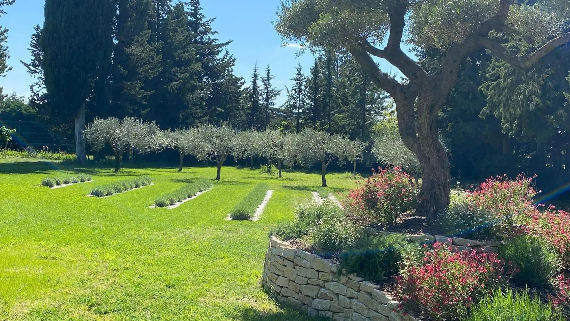 Beautiful Appartment With Pool In Provence Valréas França